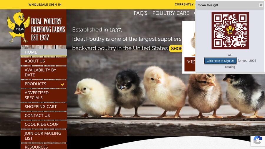 Ideal Poultry homepage screenshot